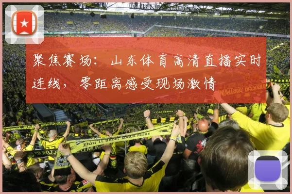 聚焦赛场：山东体育高清直播实时连线，零距离感受现场激情