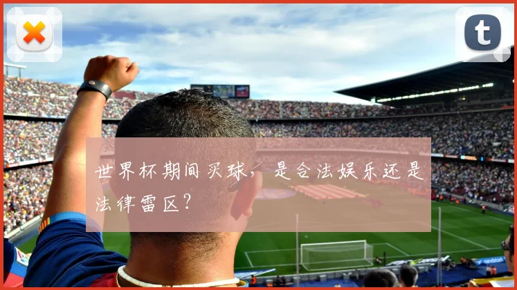 世界杯期间买球,是合法娱乐还是法律雷区?
