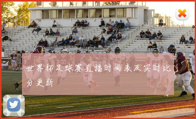 世界杯足球赛直播时间表及实时比分更新