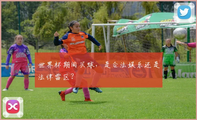 世界杯期间买球，是合法娱乐还是法律雷区？